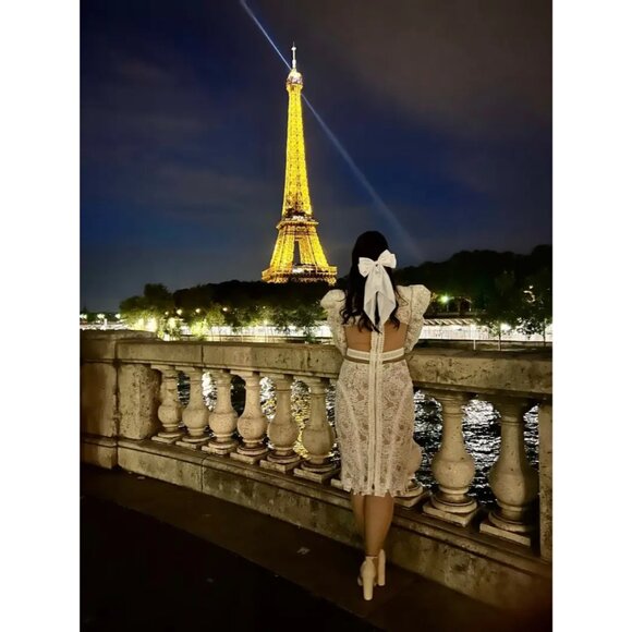 BRONX AND BANCO MADELEINE DRESS White Lace Bridal Wedding Puff Sleeve Illusion L - Picture 15 of 16